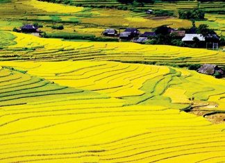 Kinh nghiệm du lịch Điện Biên mùa thu cùng những điểm đến hấp dẫn Kinh nghiệm du lịch Điện Biên mùa thu cùng những điểm đến hấp dẫn