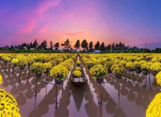 Top 10 địa điểm check-in Đồng Tháp thu hút đông đảo du khách tham quan Top 10 địa điểm check-in Đồng Tháp thu hút đông đảo du khách tham quan