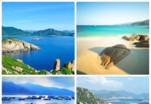 Du lịch Nha Trang hè 2026 – Thiên đường biển đảo không thể bỏ lỡ Tour Hè Nha Trang